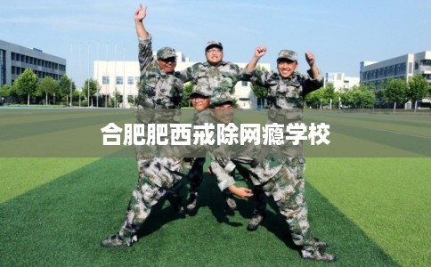 合肥肥西戒除网瘾学校 合肥肥西戒除网瘾学校