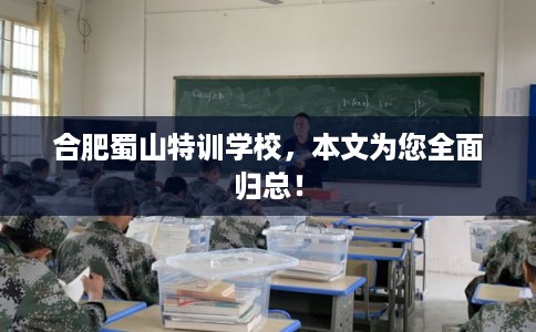 合肥蜀山特训学校，本文为您全面归总！