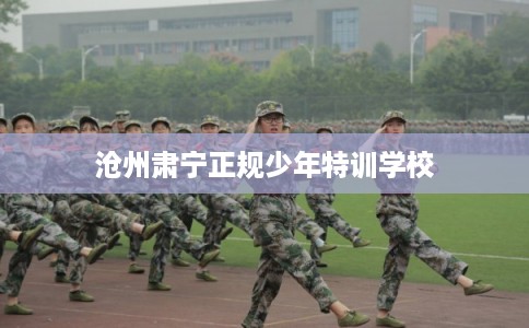 沧州肃宁正规少年特训学校