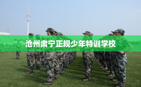 沧州肃宁正规少年特训学校
