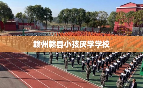 赣州赣县小孩厌学学校