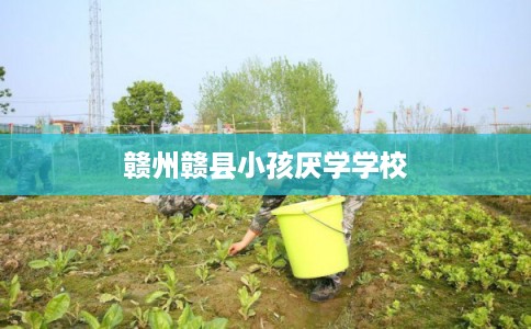 赣州赣县小孩厌学学校