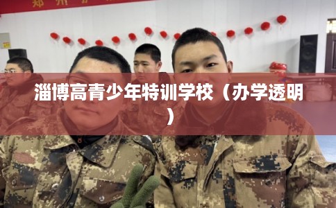 淄博高青少年特训学校（办学透明）