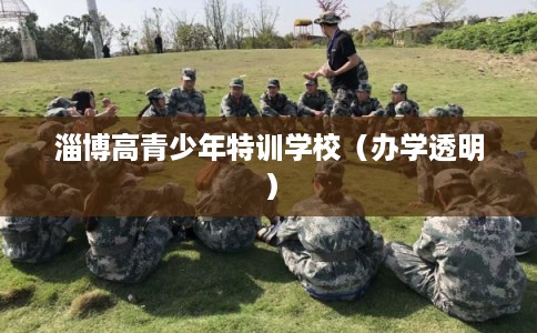 淄博高青少年特训学校（办学透明）