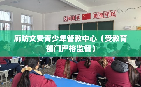 廊坊文安青少年管教中心（受教育部门严格监管）