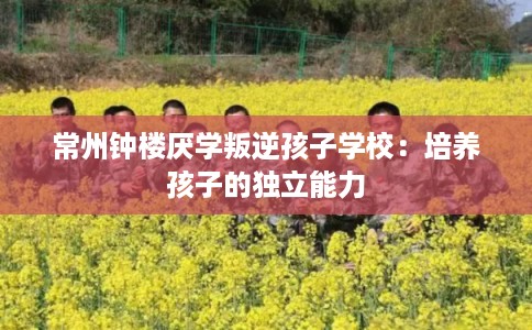 常州钟楼厌学叛逆孩子学校:培养孩子的独立能力 常州钟楼厌学叛逆孩子学校:培养孩子的独立能力