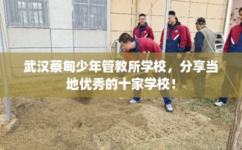 武汉蔡甸少年管教所学校，分享当地优秀的十家学校！