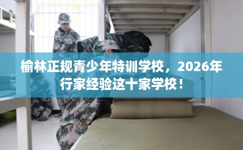 榆林正规青少年特训学校，2026年行家经验这十家学校！