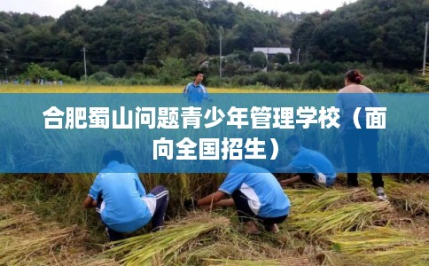 合肥蜀山问题青少年管理学校（面向全国招生）