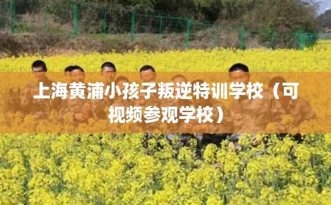 上海黄浦小孩子叛逆特训学校（可视频参观学校）