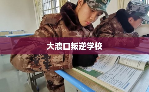 大渡口叛逆学校
