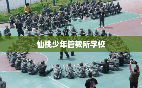 仙桃少年管教所学校