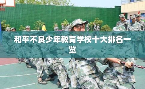 和平不良少年教育学校十大排名一览