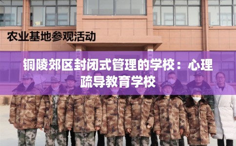铜陵郊区封闭式管理的学校：心理疏导教育学校