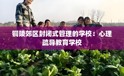铜陵郊区封闭式管理的学校：心理疏导教育学校
