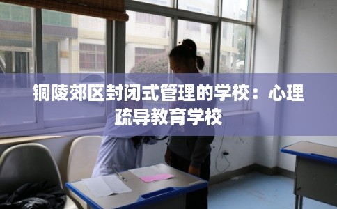 铜陵郊区封闭式管理的学校：心理疏导教育学校