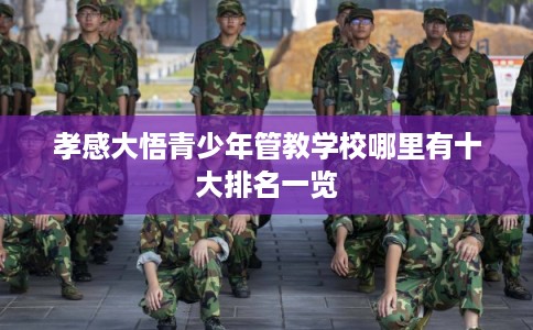 孝感大悟青少年管教学校哪里有十大排名一览