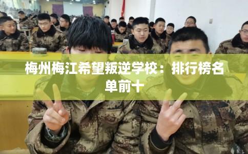 梅州梅江希望叛逆学校：排行榜名单前十