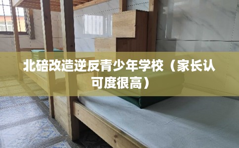 北碚改造逆反青少年学校(家长认可度很高) 北碚改造逆反青少年学校(家长认可度很高)