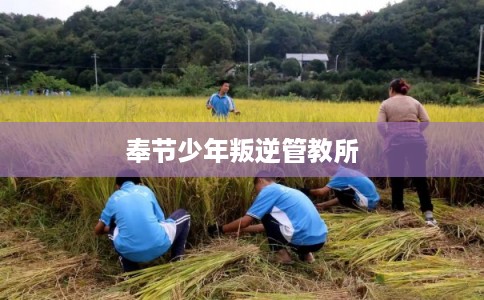 奉节少年叛逆管教所