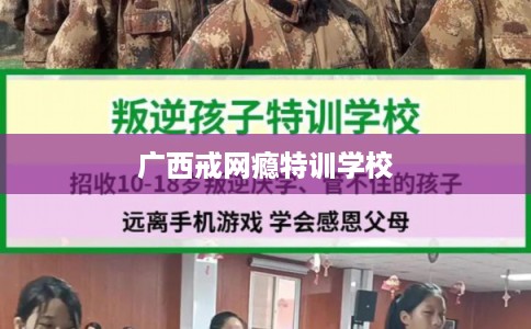 广西戒网瘾特训学校