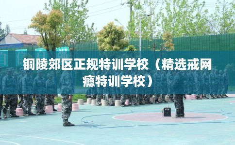 铜陵郊区正规特训学校（精选戒网瘾特训学校）
