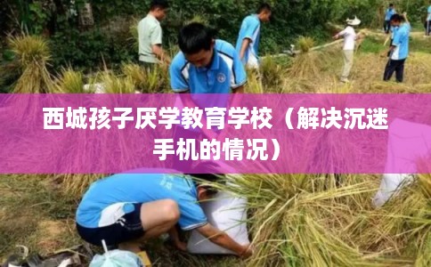 西城孩子厌学教育学校（解决沉迷手机的情况）