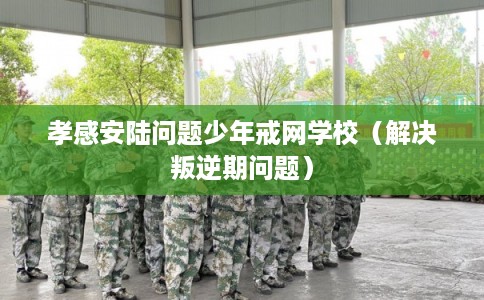 孝感安陆问题少年戒网学校（解决叛逆期问题）