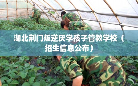 湖北荆门叛逆厌学孩子管教学校（招生信息公布）