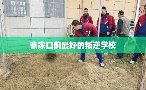 张家口蔚最好的叛逆学校 张家口蔚最好的叛逆学校