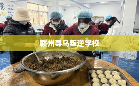赣州寻乌叛逆学校 赣州寻乌叛逆学校