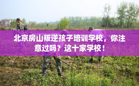 北京房山叛逆孩子培训学校,你注意过吗?这十家学校! 北京房山叛逆孩子培训学校,你注意过吗?这十家学校!