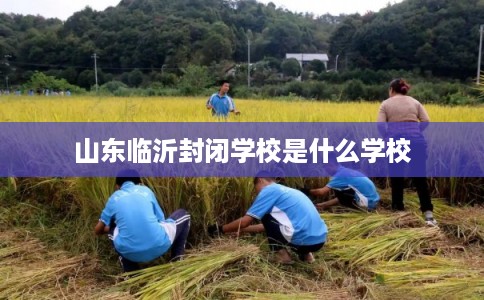 山东临沂封闭学校是什么学校