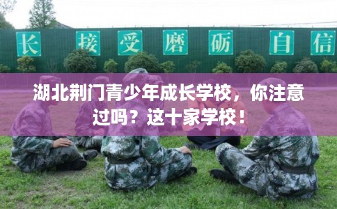湖北荆门青少年成长学校,你注意过吗?这十家学校! 湖北荆门青少年成长学校,你注意过吗?这十家学校!