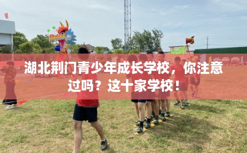 湖北荆门青少年成长学校，你注意过吗？这十家学校！