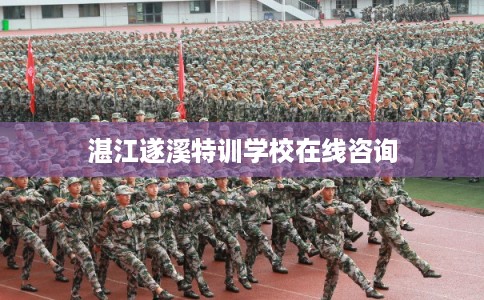 湛江遂溪特训学校在线咨询