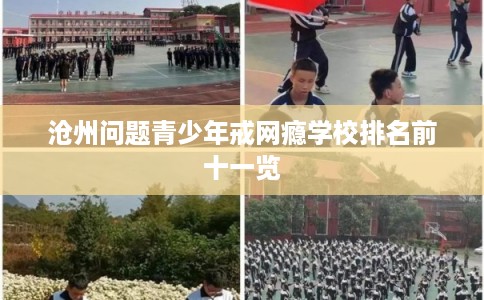 沧州问题青少年戒网瘾学校排名前十一览