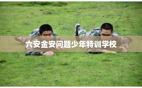 六安金安问题少年特训学校