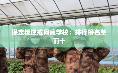 保定叛逆戒网瘾学校:排行榜名单前十 保定叛逆戒网瘾学校:排行榜名单前十