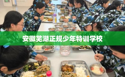 安徽芜湖正规少年特训学校 安徽芜湖正规少年特训学校
