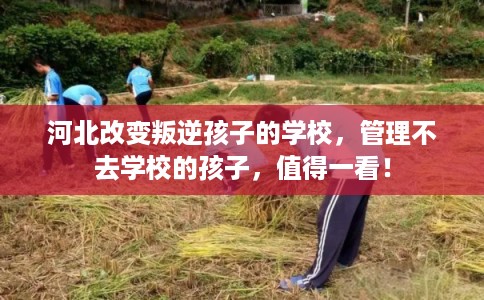 河北改变叛逆孩子的学校，管理不去学校的孩子，值得一看！