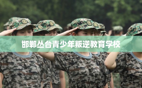 邯郸丛台青少年叛逆教育学校 邯郸丛台青少年叛逆教育学校