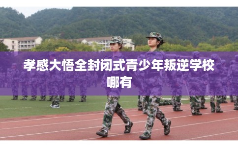 孝感大悟全封闭式青少年叛逆学校哪有