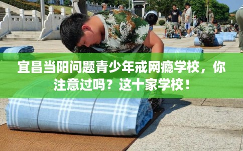宜昌当阳问题青少年戒网瘾学校，你注意过吗？这十家学校！
