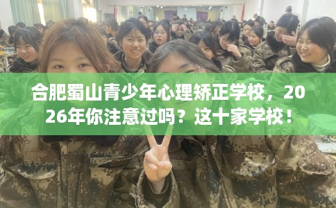 合肥蜀山青少年心理矫正学校,2026年你注意过吗?这十家学校! 合肥蜀山青少年心理矫正学校,2026年你注意过吗?这十家学校!