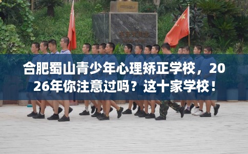 合肥蜀山青少年心理矫正学校,2026年你注意过吗?这十家学校! 合肥蜀山青少年心理矫正学校,2026年你注意过吗?这十家学校!