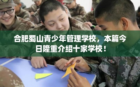 合肥蜀山青少年管理学校,本篇今日隆重介绍十家学校! 合肥蜀山青少年管理学校,本篇今日隆重介绍十家学校!