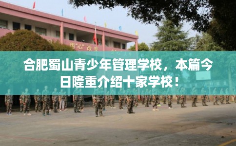合肥蜀山青少年管理学校，本篇今日隆重介绍十家学校！