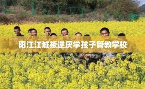 阳江江城叛逆厌学孩子管教学校