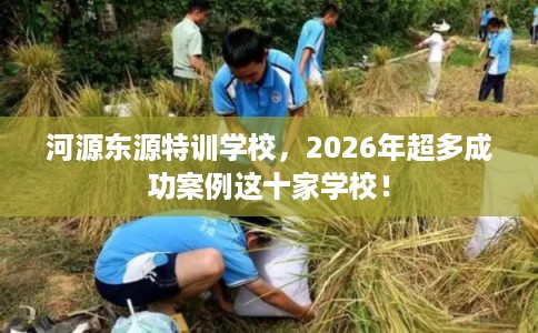 河源东源特训学校，2026年超多成功案例这十家学校！